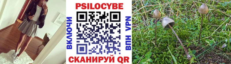 Псилоцибиновые грибы GOLDEN TEACHER  Севск 
